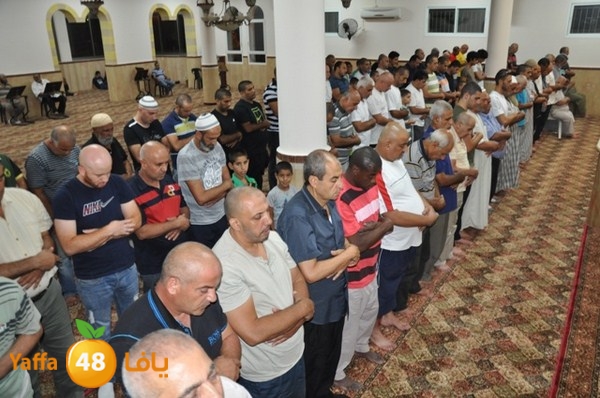 msajed amer qder 804 (1).JPG